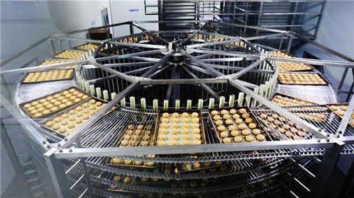 甩開歷史包袱，走好三條路 稻香村集團以技術開發引領高質量發展